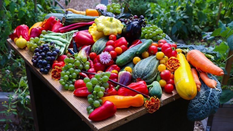 Harvest Shaome Cooperative