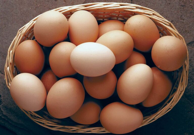Water Glassed Eggs Shaome Cooperative