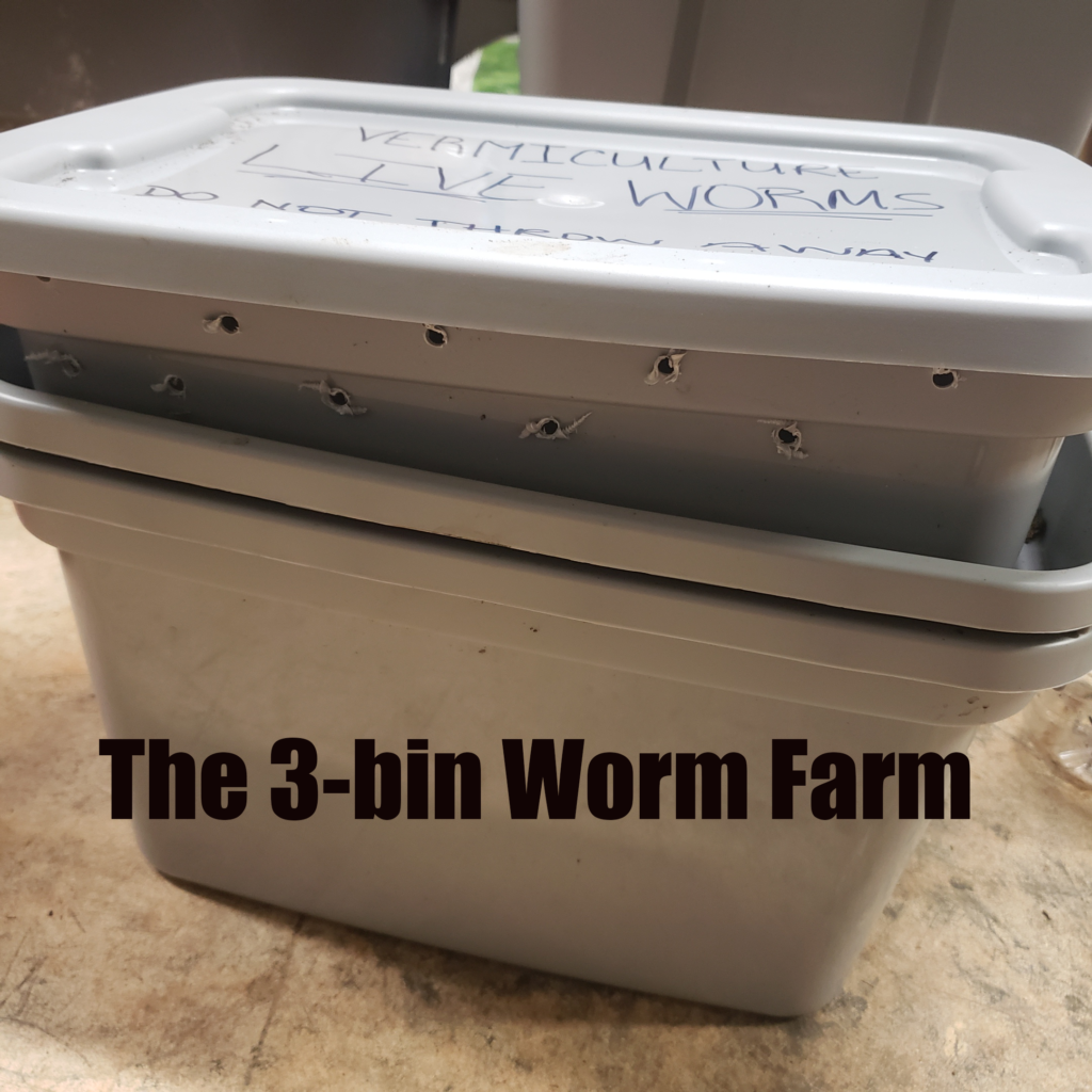 Let's make a worm farm!