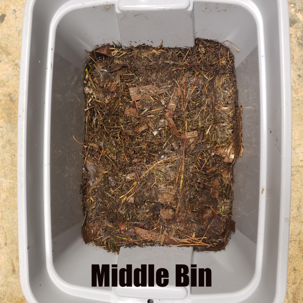 Middle Bin of a Worm Farm