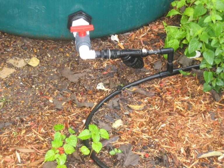 Rain barrel and drip irrigation - Shaome Coop