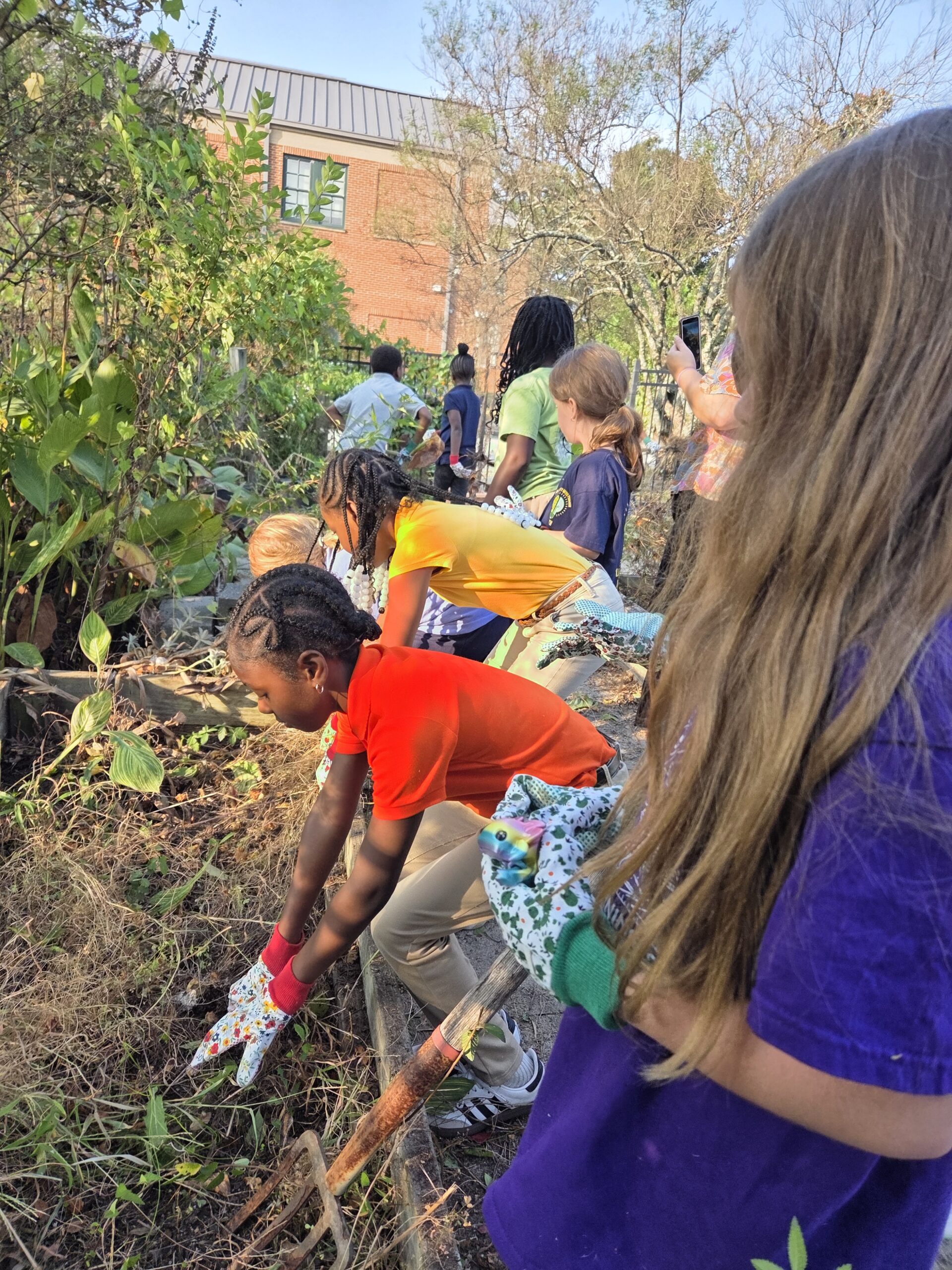 Hard at work at Alexander II Magnet School | Shaome Cooperative