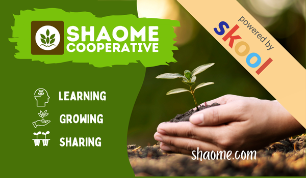 Shaome Skool | Shaome Cooperative