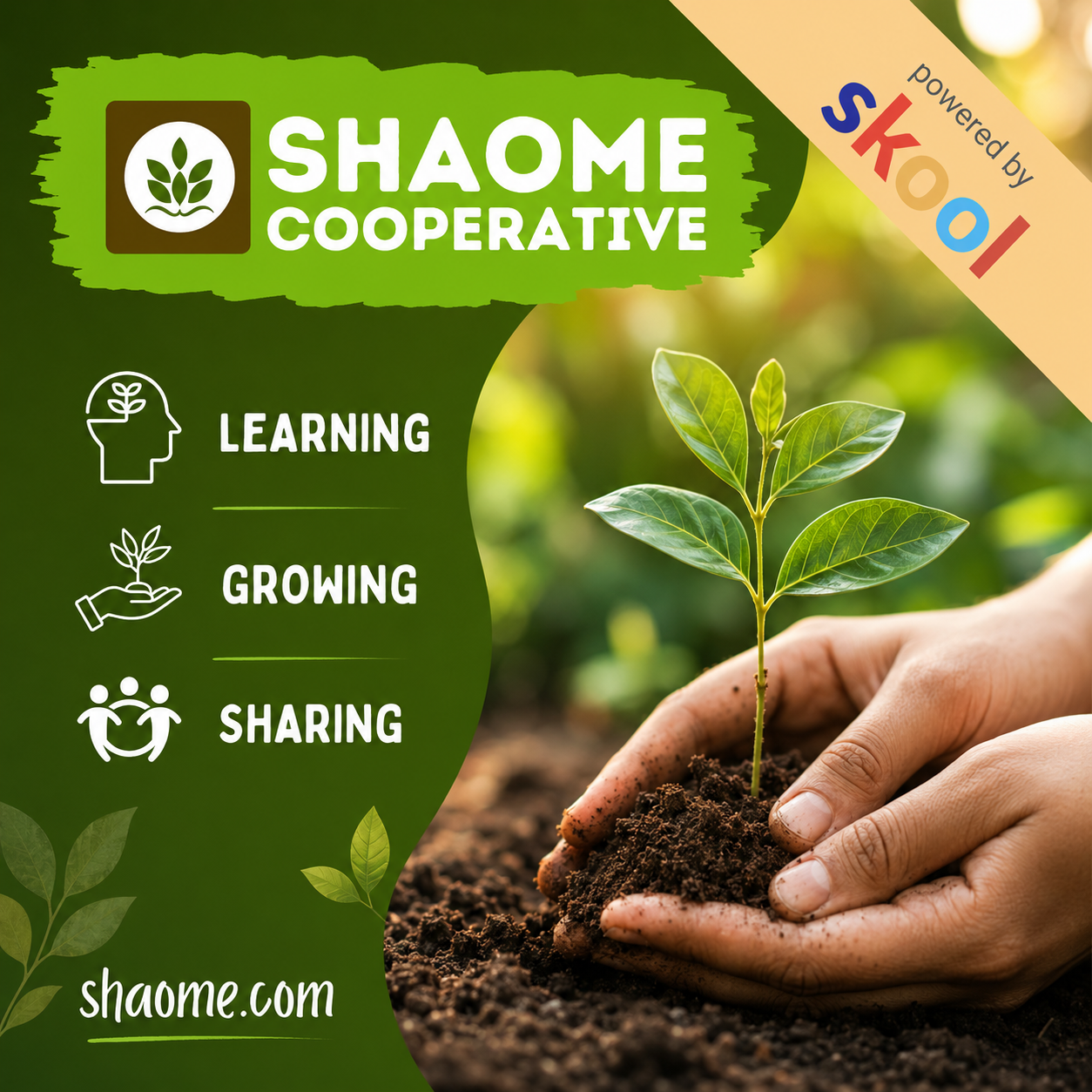 Shaome Skool | Shaome Cooperative