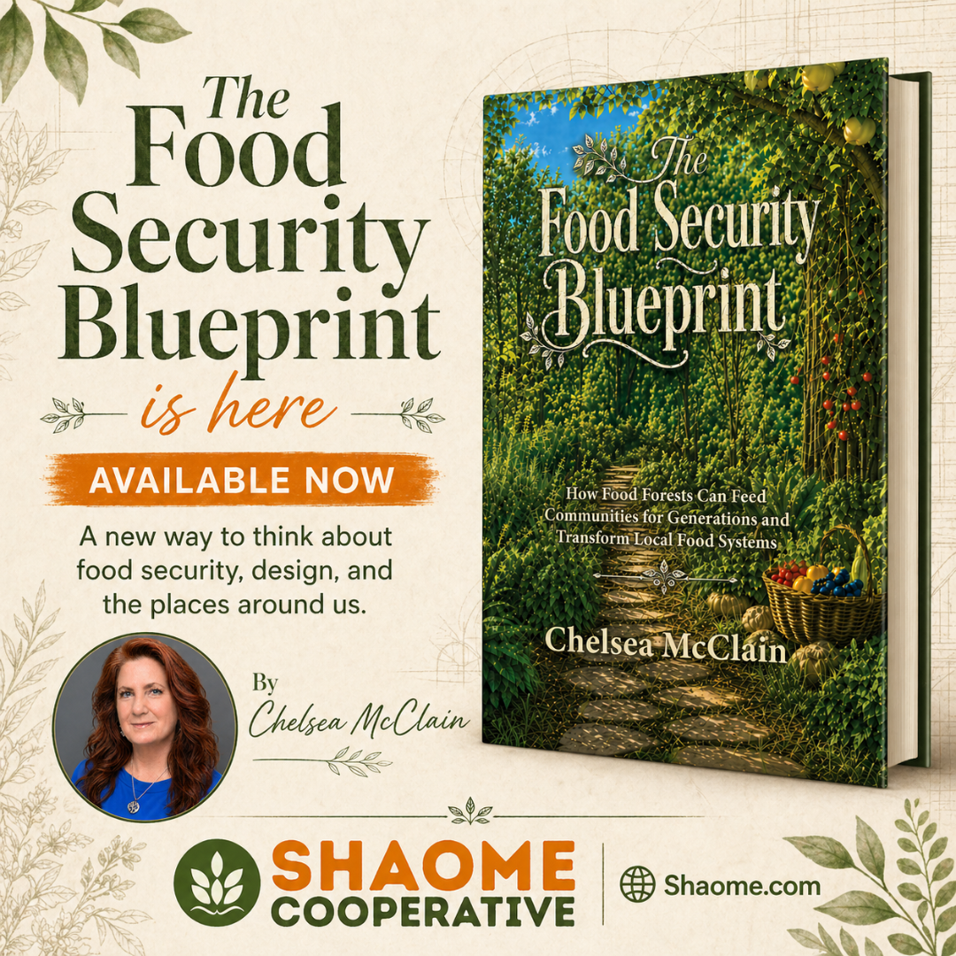 The Food Security Blueprint book by Chelsea McClain
