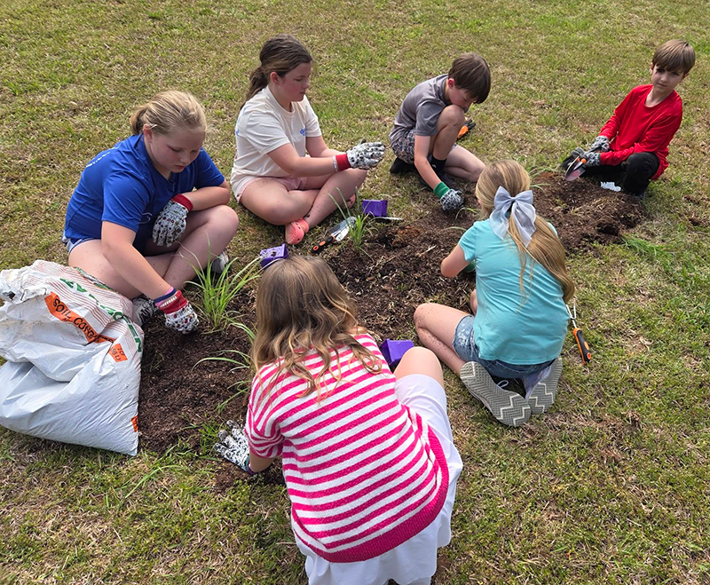 Turner Woods Student Planting Day | Shaome Cooperative
